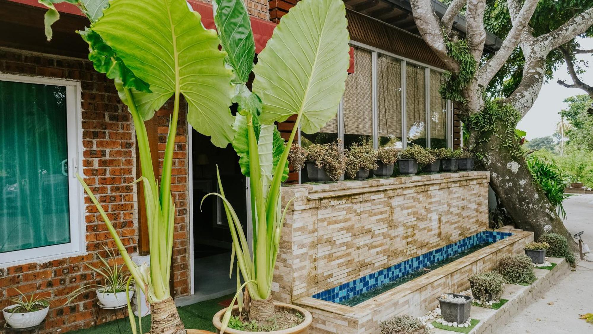 Destini Akef Villa Pantai Cenang  Dış mekan fotoğraf
